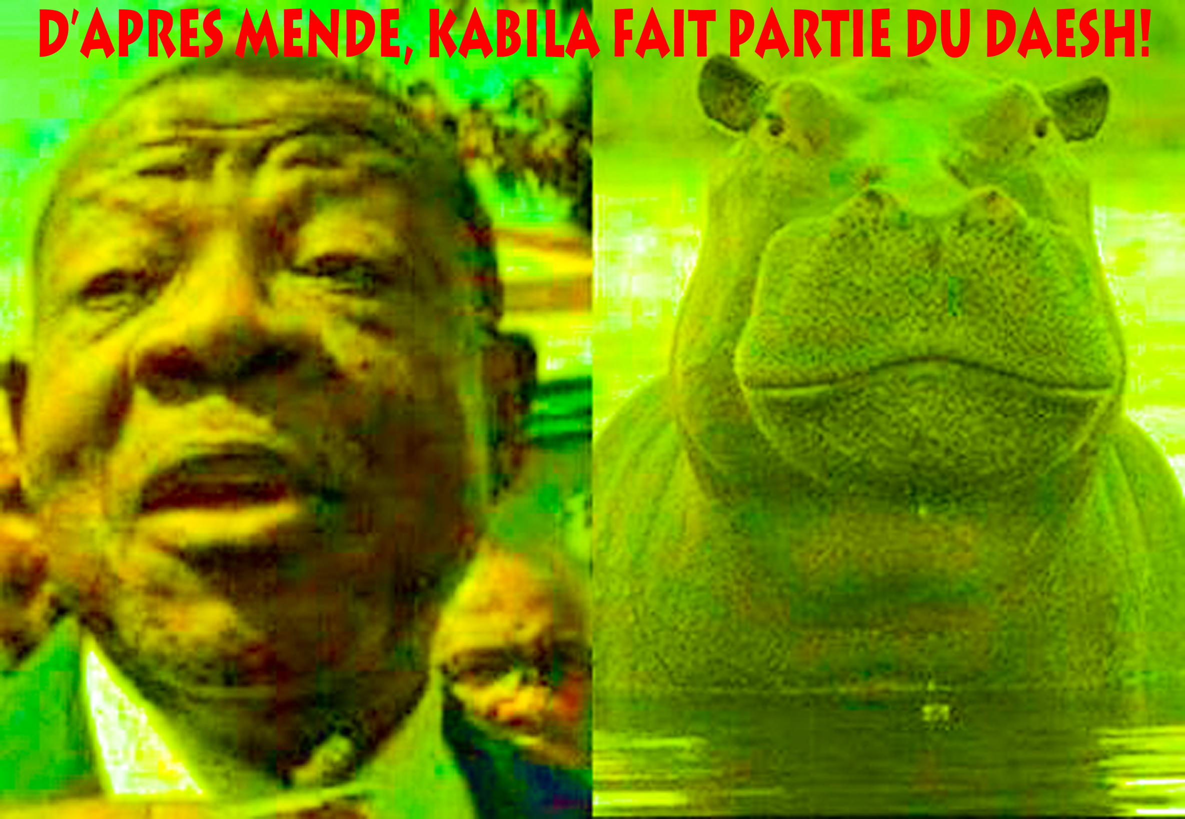 MENDE RE.jpg